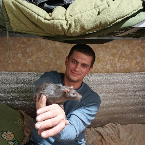 Роман