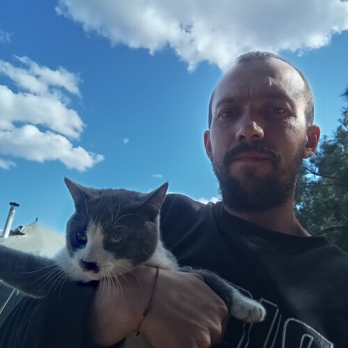олександер