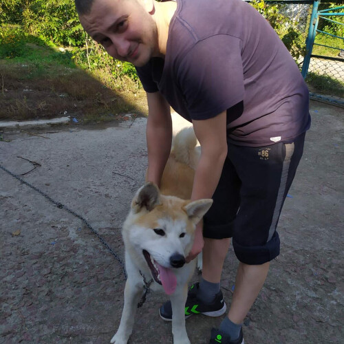 Олександр