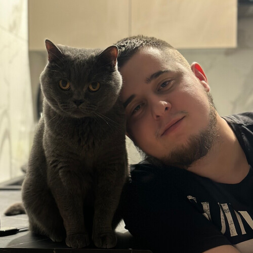Богдан